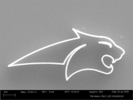 electron photomicrograph